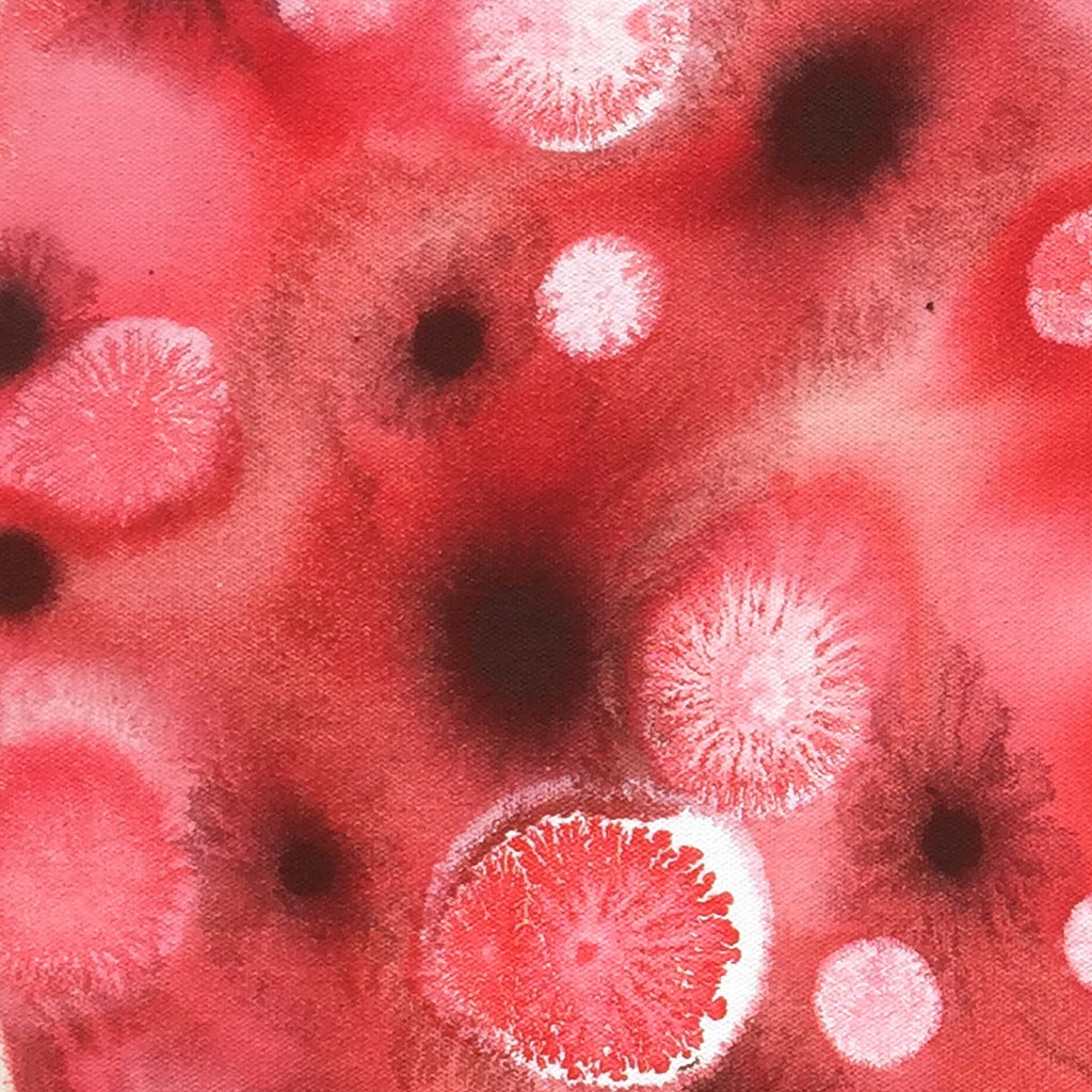 The artwork 'Red Pi' by Eric Jiaju Lee features a vibrant circular composition with a cream-colored center surrounded by dynamic red acrylic paint. The piece showcases scattered white orbs and dark spots creating a cosmic, cellular pattern. The 24x24 inch canvas displays a mesmerizing blend of light and shadow, with textured paint application radiating from the central void.