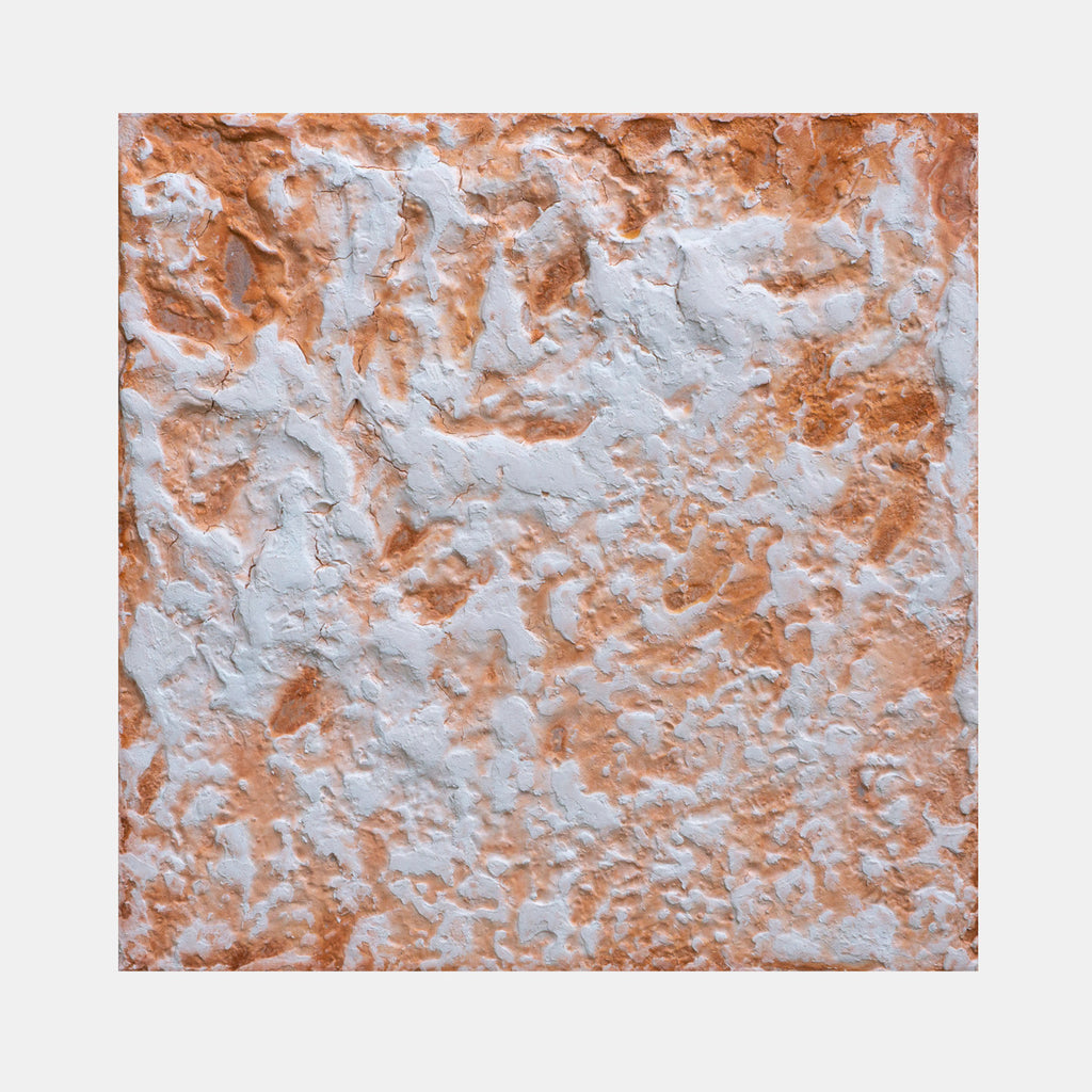 The artwork 'Rusty Lady' by Jacqueline Ferrante features a textured abstract composition combining rusty orange and white tones. The surface appears weathered and dimensional, with a concrete-like texture created through acrylic and powdered pigments on birch panel. The organic patterns resemble oxidized metal or eroded stone, creating a dynamic interplay of rough and smooth textures.