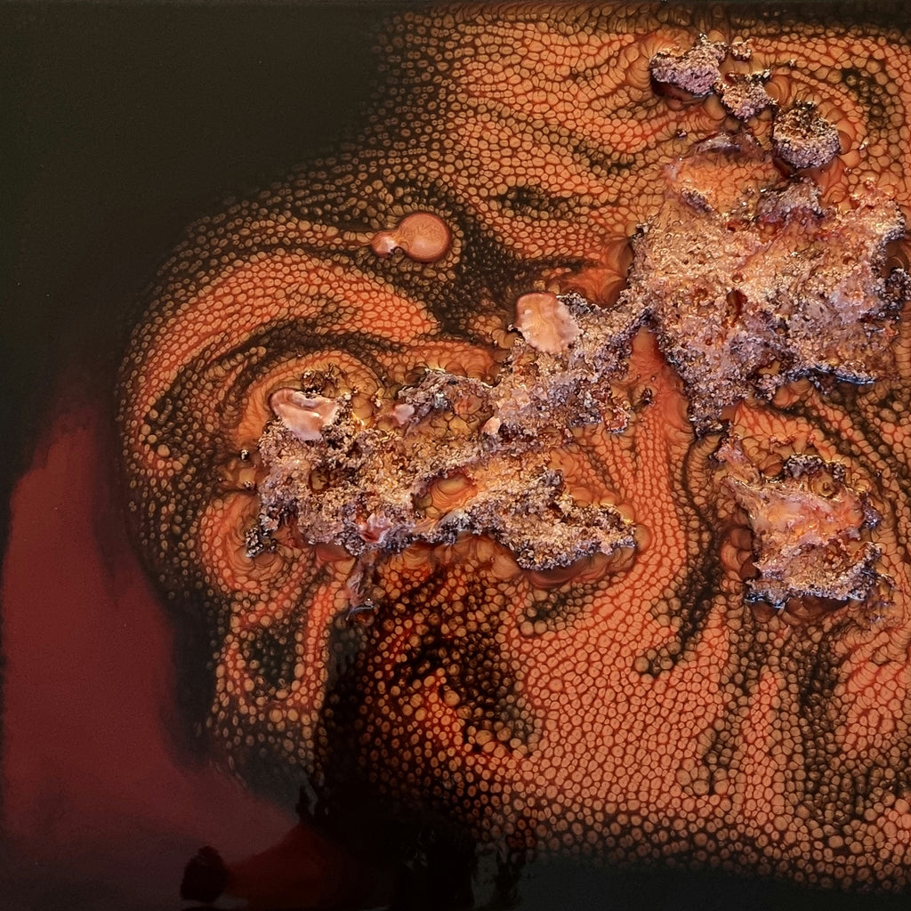 The artwork 'Study 154' by Sabrina Puppin features organic textural patterns in warm terracotta and deep burgundy tones. Abstract cellular formations create a topographical effect with synthetic glazes on wood, showcasing raised bubbling surfaces and intricate dotted textures that flow across the 12x12 inch composition.