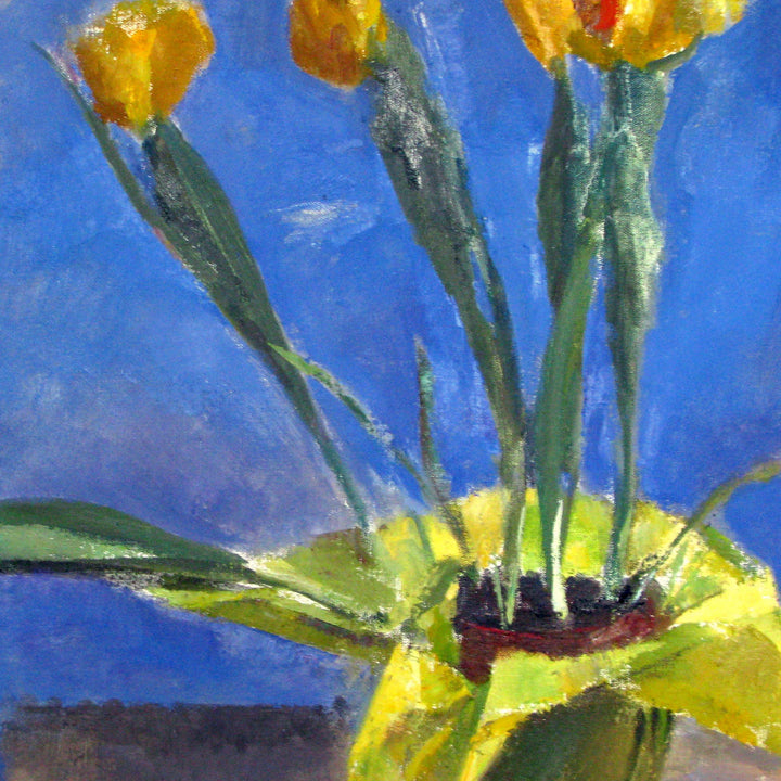 Yellow Tulips - curina