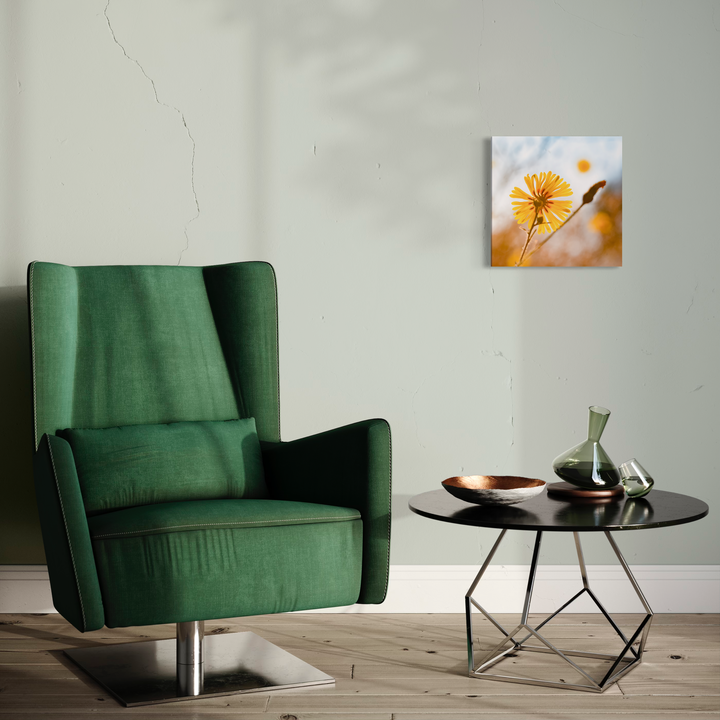 The artwork 'Good Morning Sunshine Says the Comon Madia' by Fabienne Sowa-Dobkowski showcases a vibrant yellow wildflower against a soft bokeh background, displayed as a 16x16 acrylic print in a modern living space with an emerald green velvet armchair and geometric side table. The photograph captures delicate morning light and natural warmth.