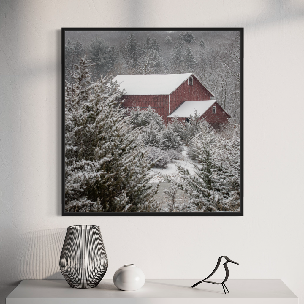 The artwork 'A Cold Silence' captures a snow-covered red barn nestled among frost-laden evergreen trees in a serene winter landscape. The monochromatic scene is punctuated by the barn's weathered red exterior, creating a striking contrast against the white snow and misty forest backdrop. Fine art photography by Dennis Maida.