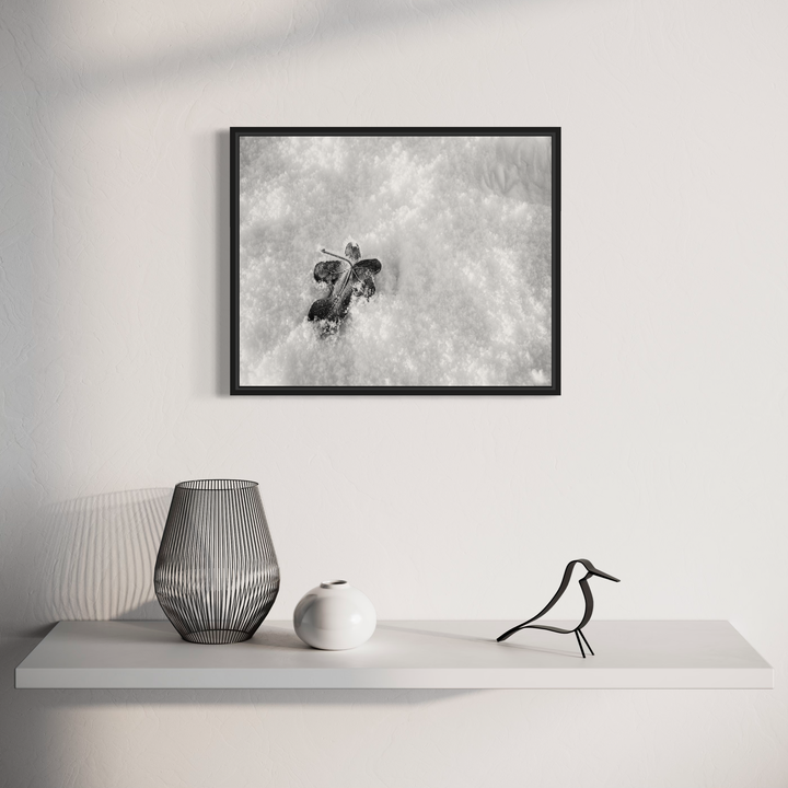 A photo of the artwork Winter's Touch, by Dennis Maida, hanging on a wall.