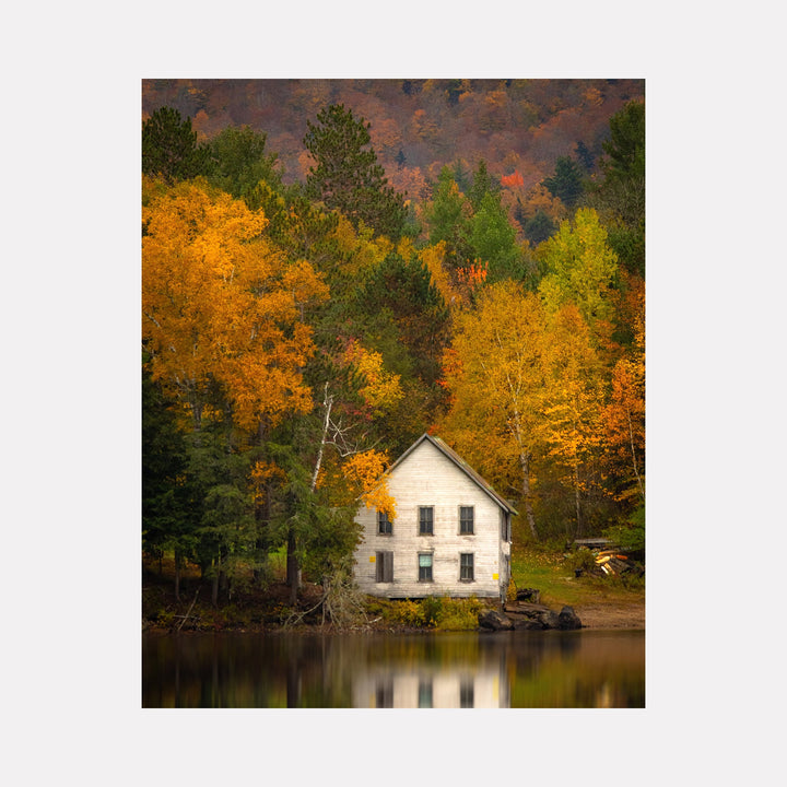 The artwork Adirondack House, by Dennis Maida