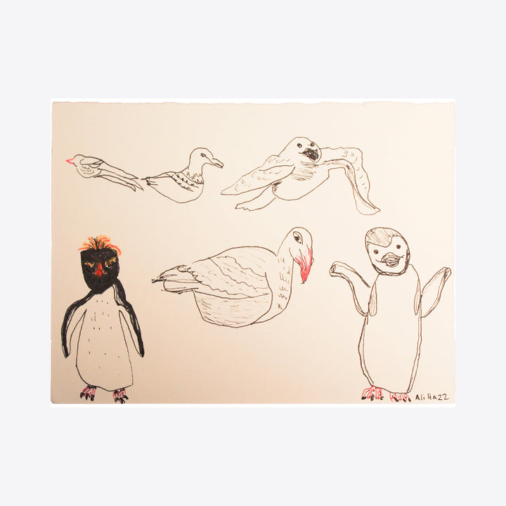 The artwork Antarctica Birds, by Ali Ha