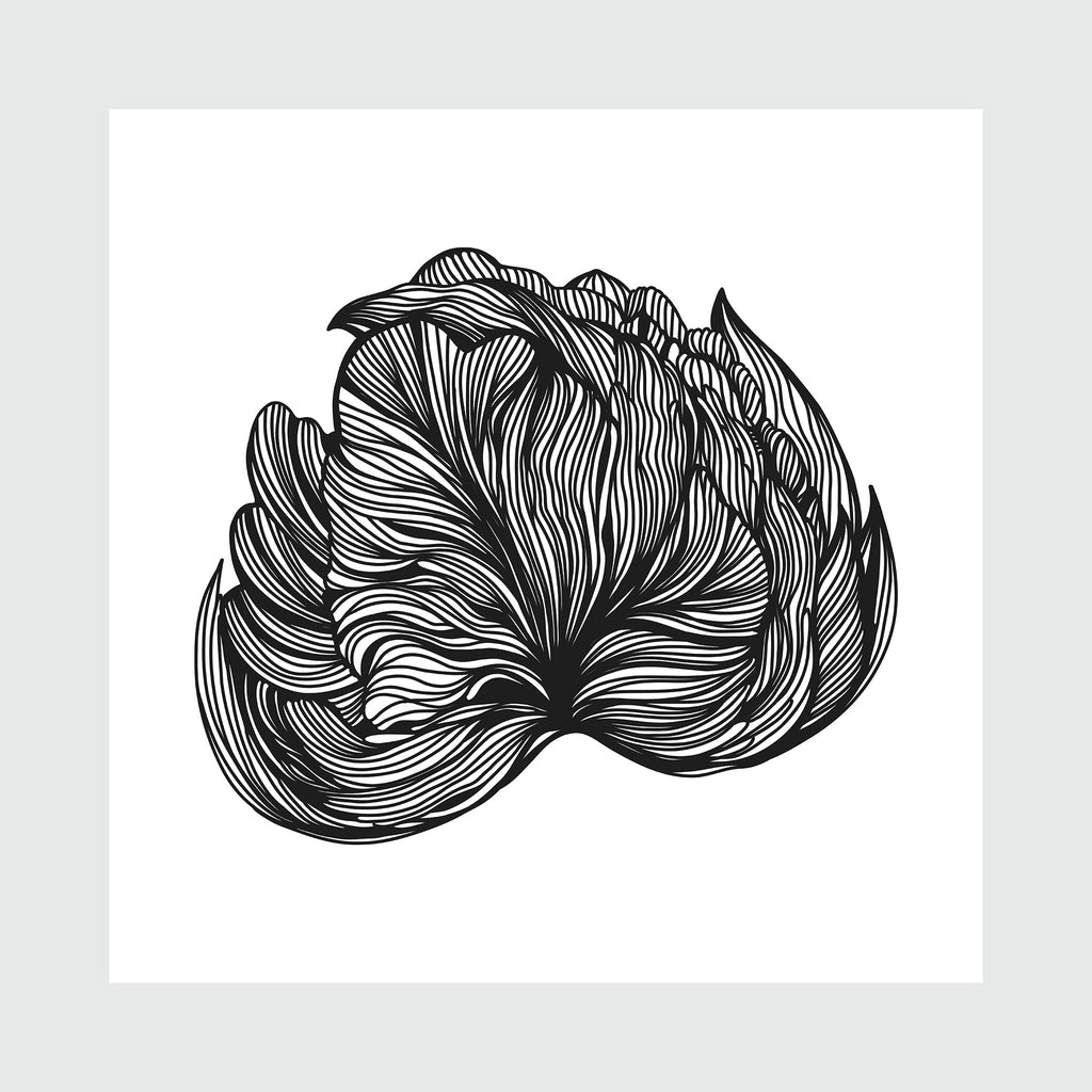 The artwork Black Peony Linear Art, by Alina Glotova