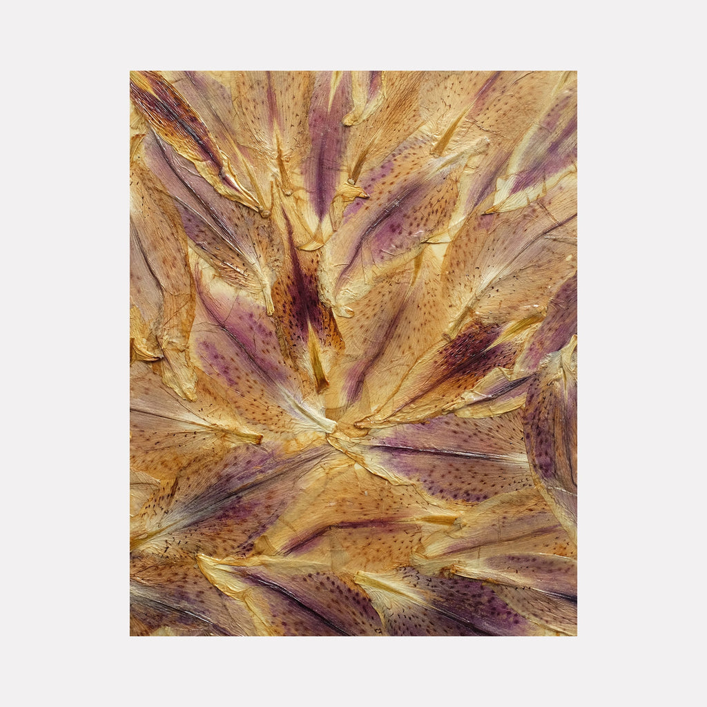 The artwork 'Deflorees Origins Lilies 01' by Valerie Hallier features preserved lily petals arranged in a radial pattern, showcasing rich golden amber hues with deep purple accents. The petals create a textural, abstract composition preserved in polyurethane varnish on canvas, capturing the delicate organic patterns and natural spotting of the flowers.