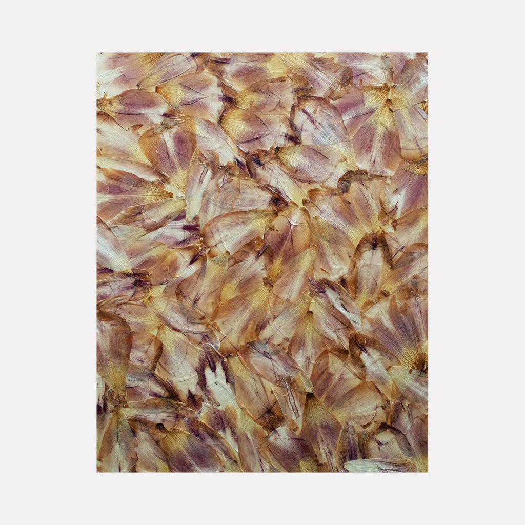 The artwork 'Deflorees Origins Tulip 01' by Valerie Hallier features a mesmerizing collage of preserved tulip petals in warm amber, purple, and cream tones. The petals create an abstract pattern with organic overlapping layers, sealed in polyurethane varnish on canvas, capturing the delicate texture and translucent beauty of floral decay.