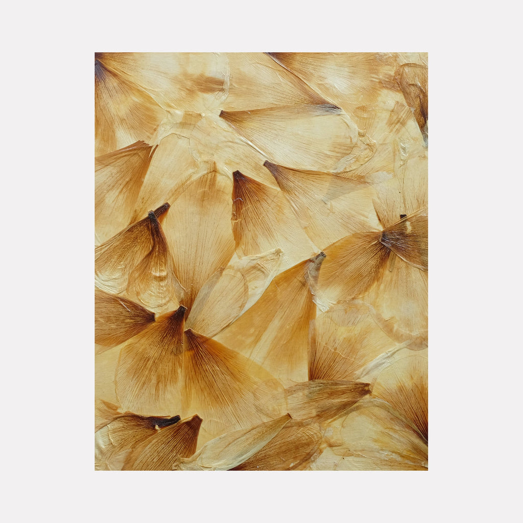 The artwork 'Deflorees Origins Tulip 02' by Valerie Hallier features delicate pressed tulip petals in warm honey-amber tones, arranged in an overlapping pattern on canvas. The preserved petals create a textural composition, sealed with polyurethane varnish, showcasing natural veining and translucent qualities against a deep cradled panel.