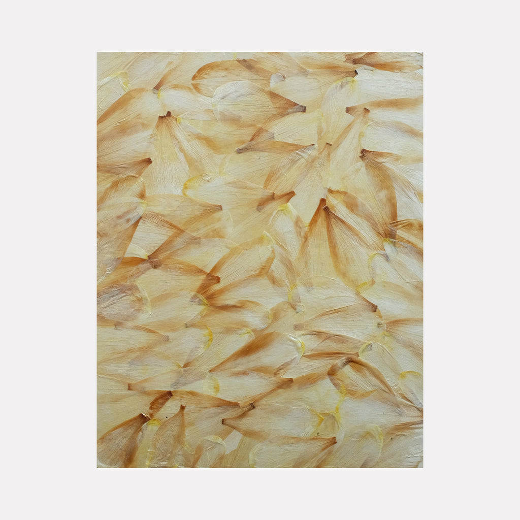 The artwork 'Deflorees Origins Tulip 04' by Valerie Hallier features delicate layers of preserved tulip petals in cream and honey tones, arranged in an overlapping pattern. The petals create a textural abstract composition, sealed with polyurethane varnish on canvas, showcasing organic forms and natural patterns.