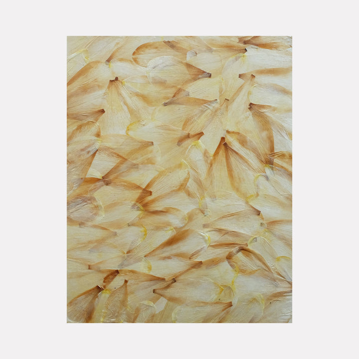 The artwork 'Deflorees Origins Tulip 04' by Valerie Hallier features delicate layers of preserved tulip petals in cream and honey tones, arranged in an overlapping pattern. The petals create a textural abstract composition, sealed with polyurethane varnish on canvas, showcasing organic forms and natural patterns.