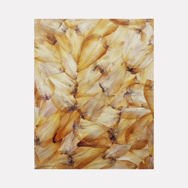 The artwork 'Deflorees Origins Tulip 06' by Valerie Hallier features delicate pressed tulip petals in warm honey-golden tones, artistically arranged on canvas. The translucent petals create an abstract pattern with subtle purple undertones and natural veining, preserved in polyurethane varnish on a deep cradled panel.