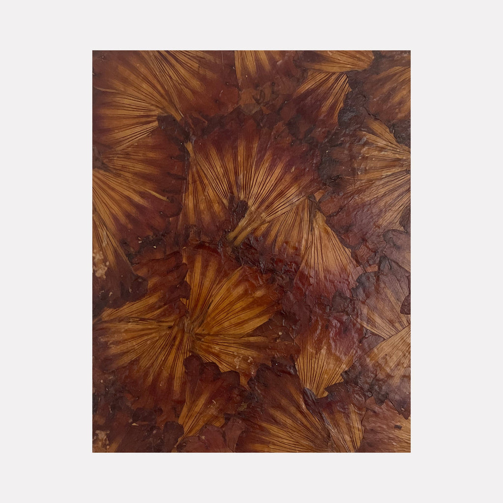 The artwork 'Deflorees Origins Flower' by Valerie Hallier features preserved flower petals arranged in a radial pattern, showcasing rich amber and burgundy tones. The petals create a fan-like texture on canvas, sealed with polyurethane varnish, displaying an organic abstract composition with deep, warm earth tones. By Valerie Hallier.
