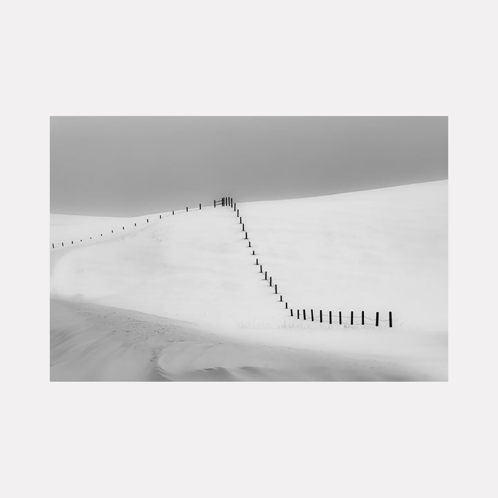 The artwork Fence In Snow, by Neil Shapiro