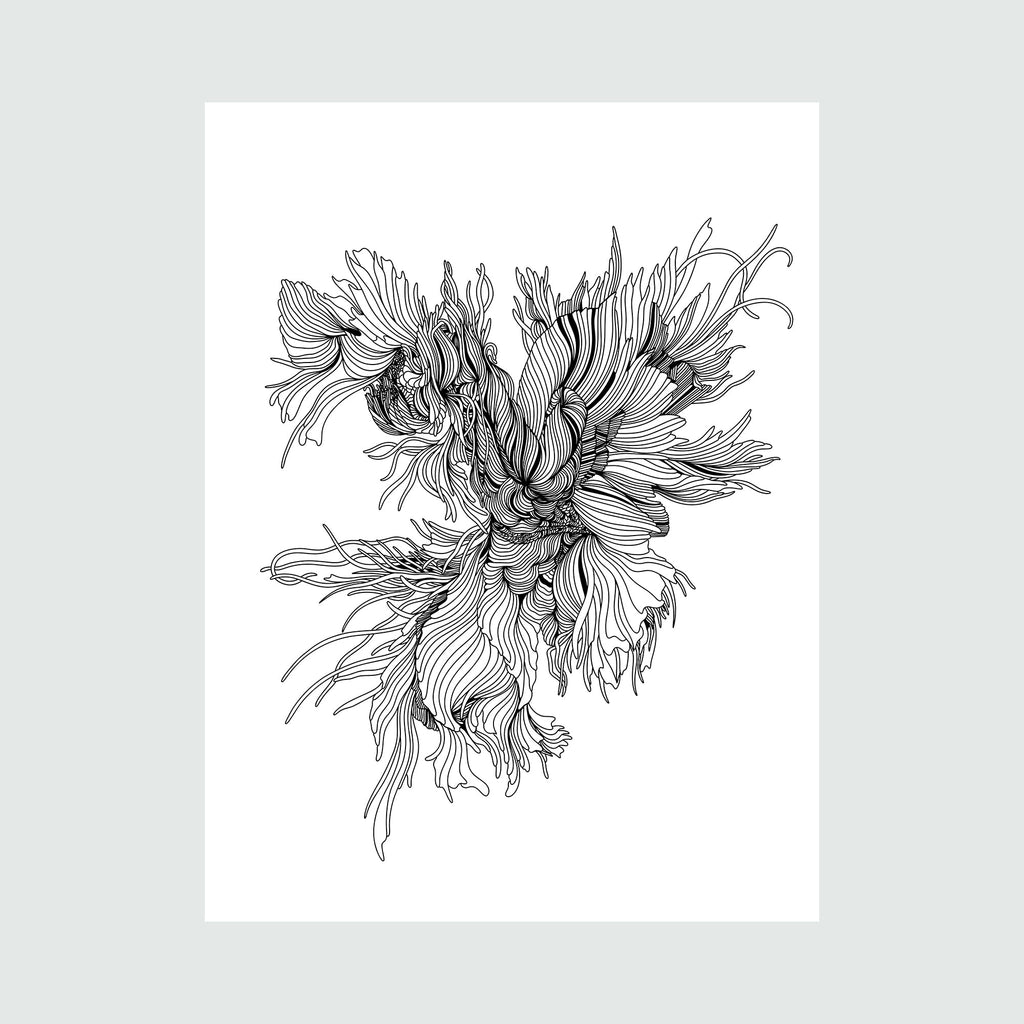 Night Rooster Linear Drawing by Alina Glotova features an intricate black and white illustration of flowing, organic forms resembling feathers and floral elements. The detailed line work creates a dynamic composition with delicate curves and sweeping strokes, executed in a minimalist monochromatic style. 40x30 inches print showcases precise pen work and botanical-inspired motifs.