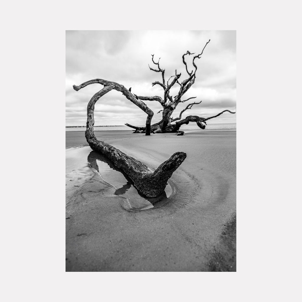 The artwork 'Resilience' by Dennis Maida captures a dramatic black and white photograph of a weathered driftwood tree on a desolate beach. The gnarled branches curve elegantly against an overcast sky, creating a striking silhouette. The textured wood contrasts with smooth wet sand, while twisted limbs reach skyward in a natural sculptural display.