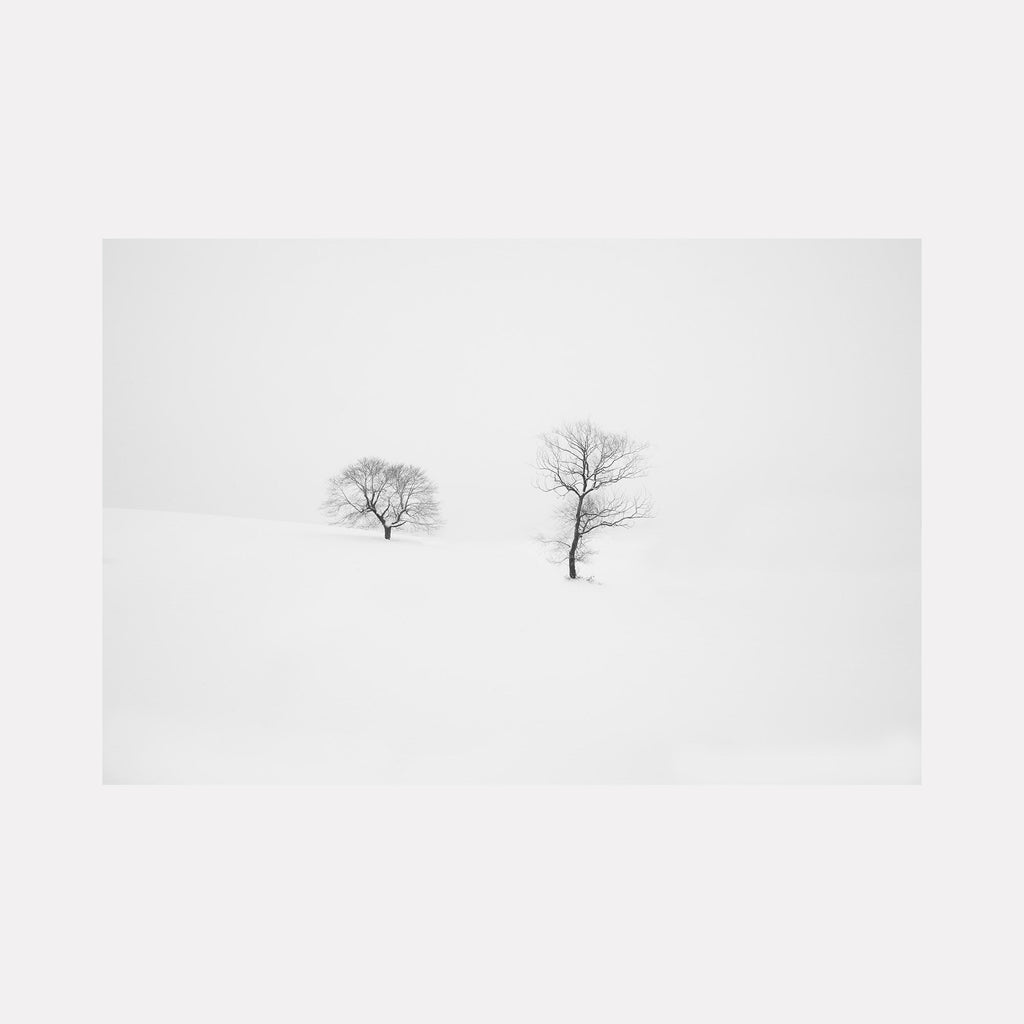 The artwork 'Rooted in Silence' by Dennis Maida features two bare trees standing in stark isolation against a pure white, snow-covered landscape. The minimalist black and white photography captures the trees' delicate branching silhouettes, creating a serene and contemplative composition in elegant monochromatic tones.