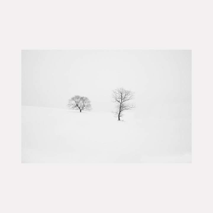 The artwork 'Rooted in Silence' by Dennis Maida features two bare trees standing in stark isolation against a pure white, snow-covered landscape. The minimalist black and white photography captures the trees' delicate branching silhouettes, creating a serene and contemplative composition in elegant monochromatic tones.