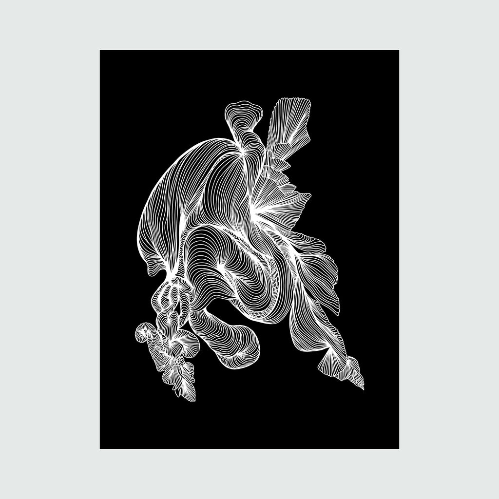 The artwork 'Stereo Linear Drawing' by Alina Glotova features intricate white flowing lines creating abstract organic forms against a deep black background. The linear patterns swirl and curve like ribbons in space, suggesting fluid movement and dimensional depth. The monochromatic design emphasizes the delicate precision of the line work.