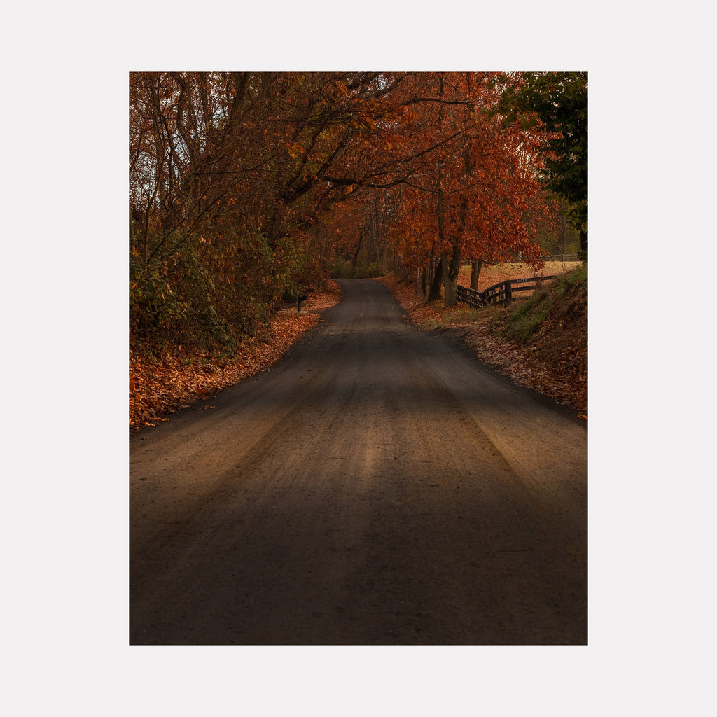 The artwork 'Take Me Home' by Dennis Maida captures a serene country road enveloped by autumn trees with vibrant orange-red foliage. A wooden fence lines one side of the winding path, while fallen leaves scatter across the dark asphalt surface. The moody photography emphasizes the warm autumn colors against the shadowed road, creating an inviting rural scene.