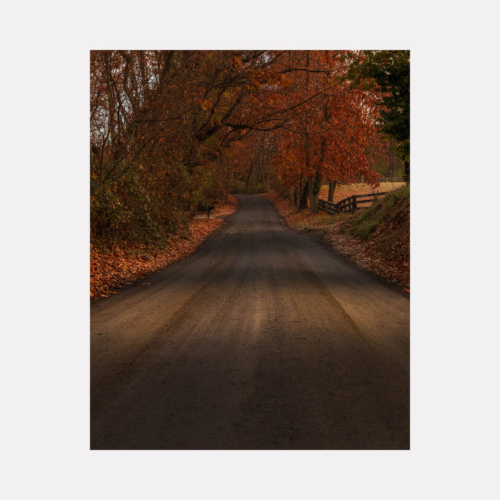 The artwork 'Take Me Home' by Dennis Maida captures a serene country road enveloped by autumn trees with vibrant orange-red foliage. A wooden fence lines one side of the winding path, while fallen leaves scatter across the dark asphalt surface. The moody photography emphasizes the warm autumn colors against the shadowed road, creating an inviting rural scene.