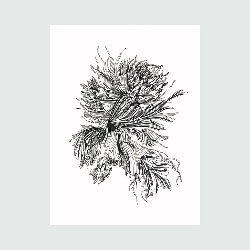 The artwork Underwater Peony Linear Drawing, by Alina Glotova