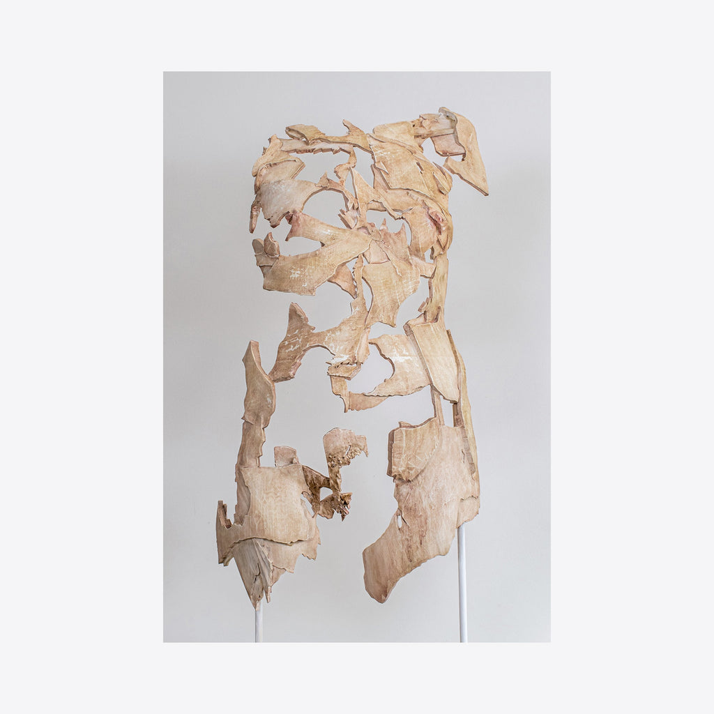 The artwork Torso of Woman Shards, by Sophie Kahn