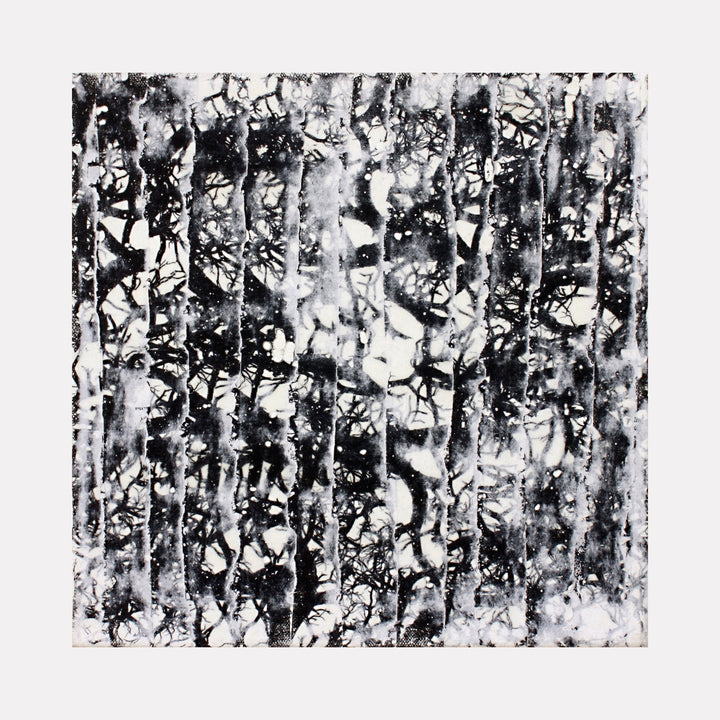 The artwork 'Forest Curtain' by Aaron Hillebrand features an abstract monochromatic composition depicting vertical tree-like structures in black and white. The mixed media canvas creates a textured forest pattern with organic shapes and flowing lines, reminiscent of birch trees in winter. Dynamic contrasts between light and dark elements create depth and movement across the 12x12 inch surface.