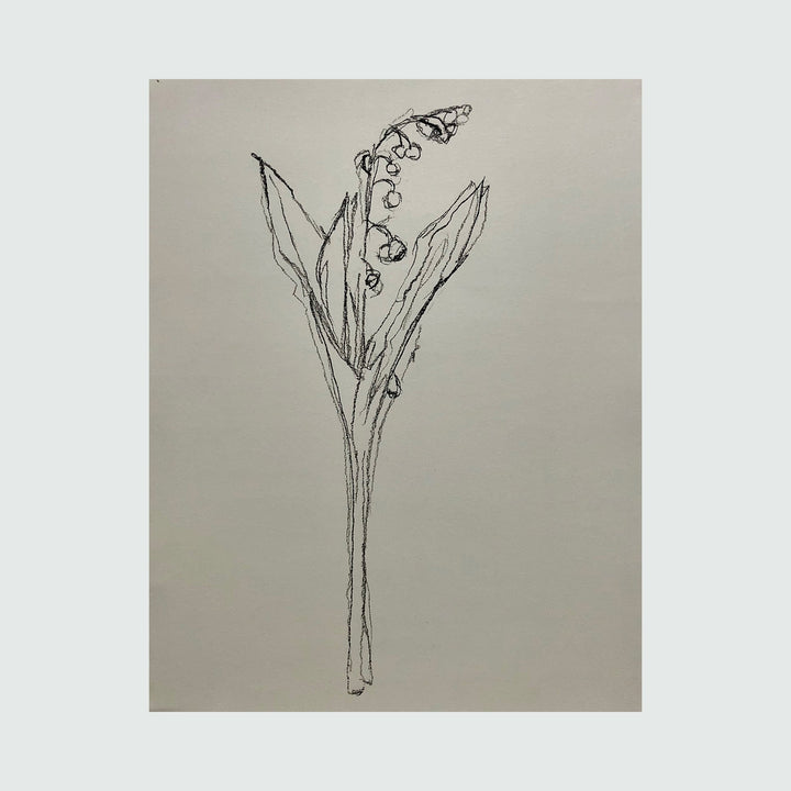 The artwork 'muguet from life, III' by Ryan Zogheb features a delicate charcoal sketch of a lily of the valley stem with graceful bell-shaped blooms and elongated leaves. The minimalist drawing captures the elegant simplicity of the flower through confident, loose linework on light paper. 14x11 inches charcoal drawing by Ryan Zogheb.