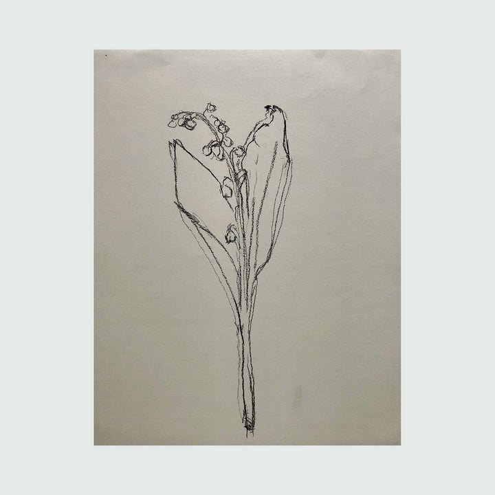 The artwork muguet from life, II, by Ryan Zogheb