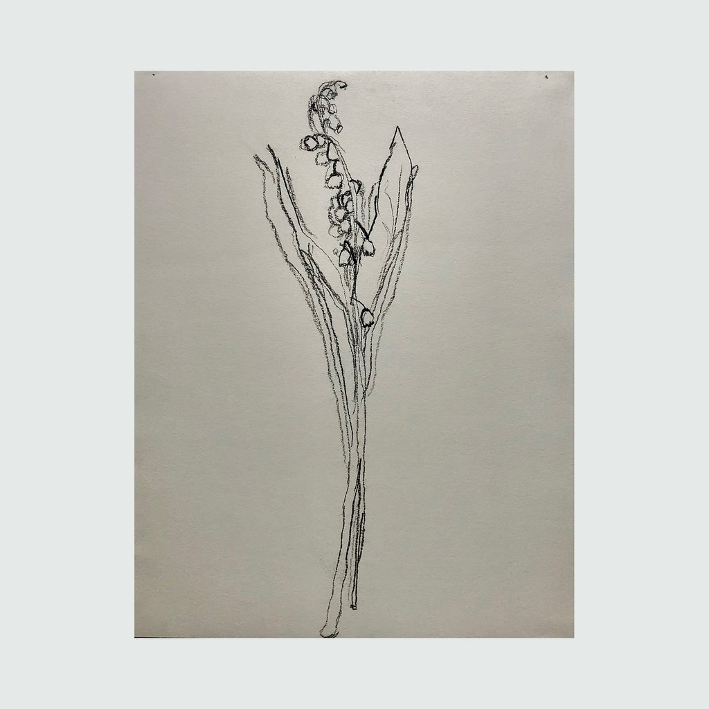 The artwork muguet from life, IV, by Ryan Zogheb