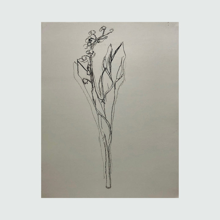 The artwork muguet from life, I, by Ryan Zogheb