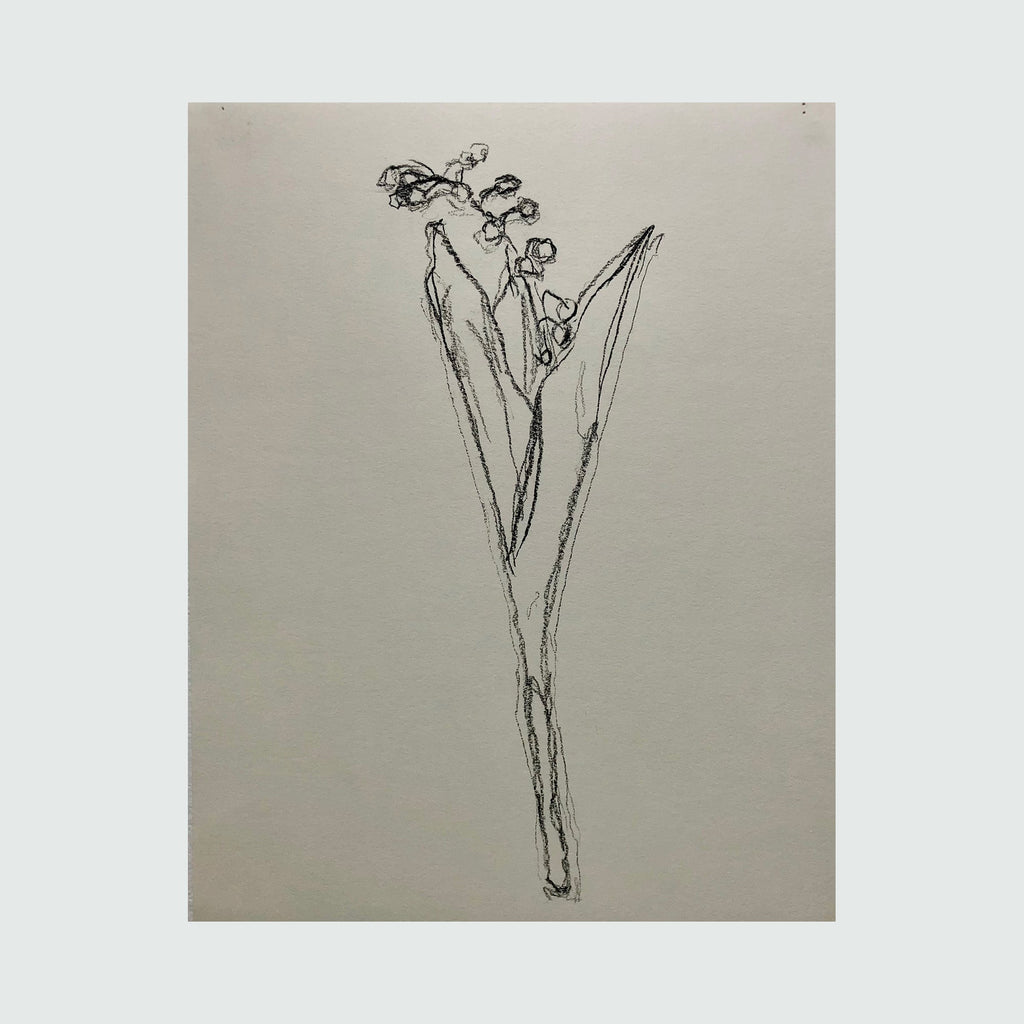 The artwork 'muguet from life, VII' by Ryan Zogheb features a delicate charcoal sketch of a lily of the valley flower, rendered with minimalist loose lines on paper. The drawing captures the essence of the plant's slender stem, pointed leaves, and drooping bell-shaped blooms in an elegant, gestural style. Created by Ryan Zogheb.
