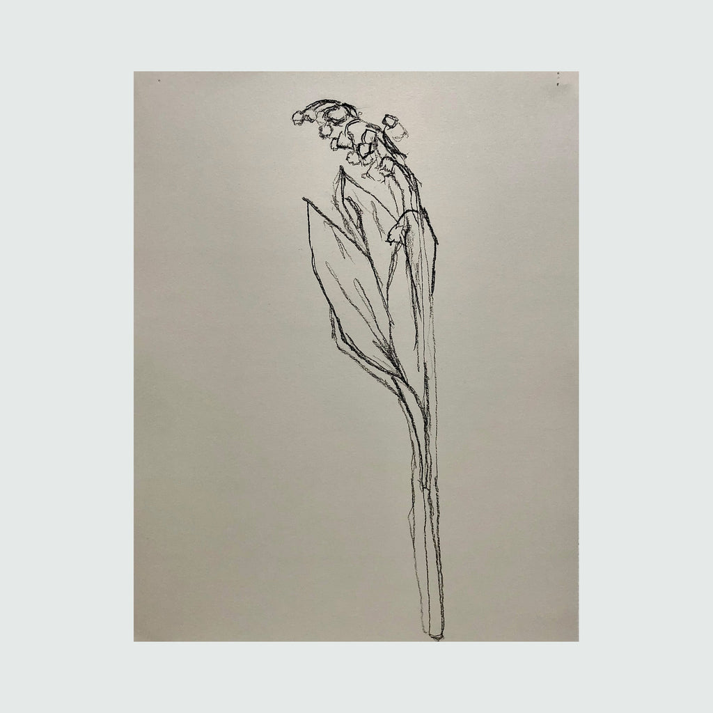 The artwork 'muguet from life, VI' by Ryan Zogheb features a minimalist charcoal sketch of a lily of the valley flower on light gray paper. The delicate line drawing captures the elegant stem, elongated leaves, and drooping bell-shaped blooms characteristic of the muguet flower, rendered with fluid, expressive strokes.