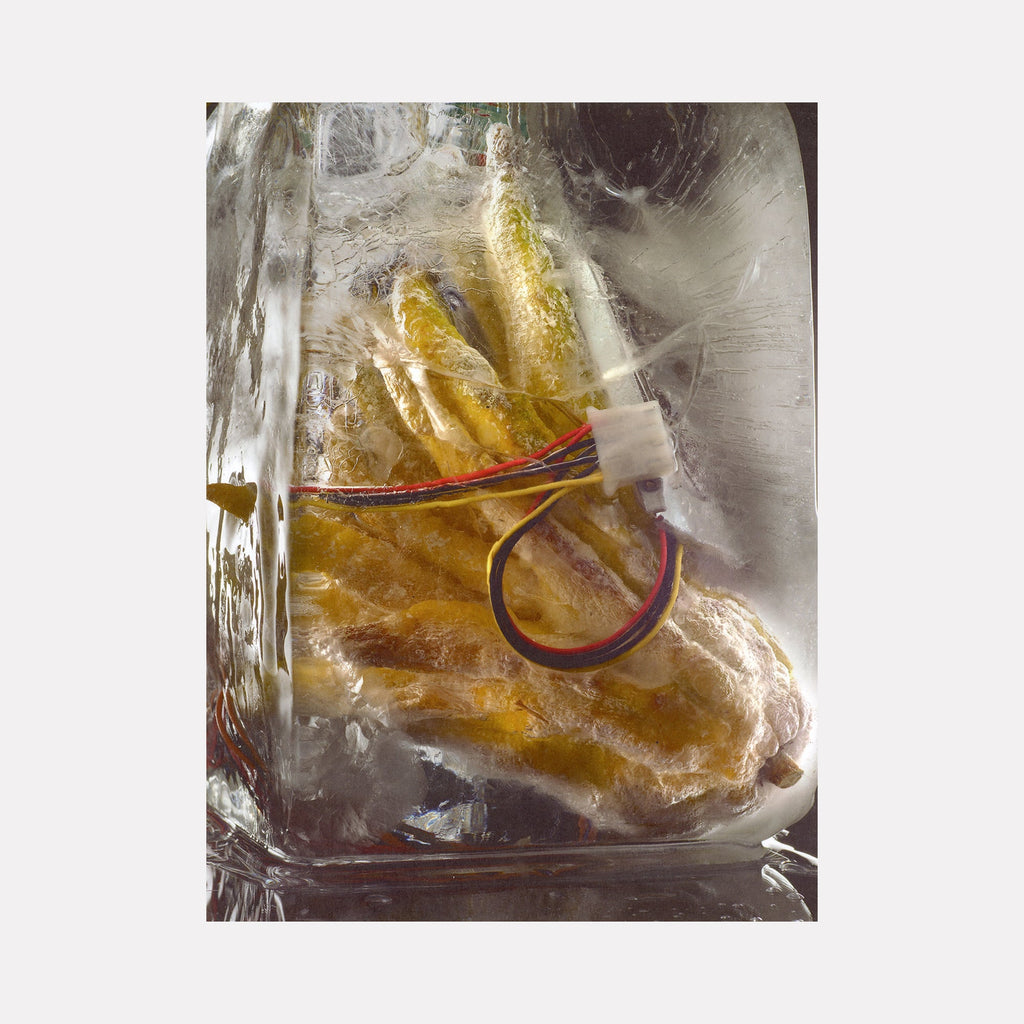 The artwork 'Buddha's Hand' by Sarah Canfield features a striking yellow citrus fruit encased in crystalline ice, with vibrant red and blue wires coursing through the frozen composition. The inkjet print on rice paper captures the delicate interplay of textures - smooth ice, textured fruit, and sharp electrical components - creating a contemporary still life that merges natural and technological elements.