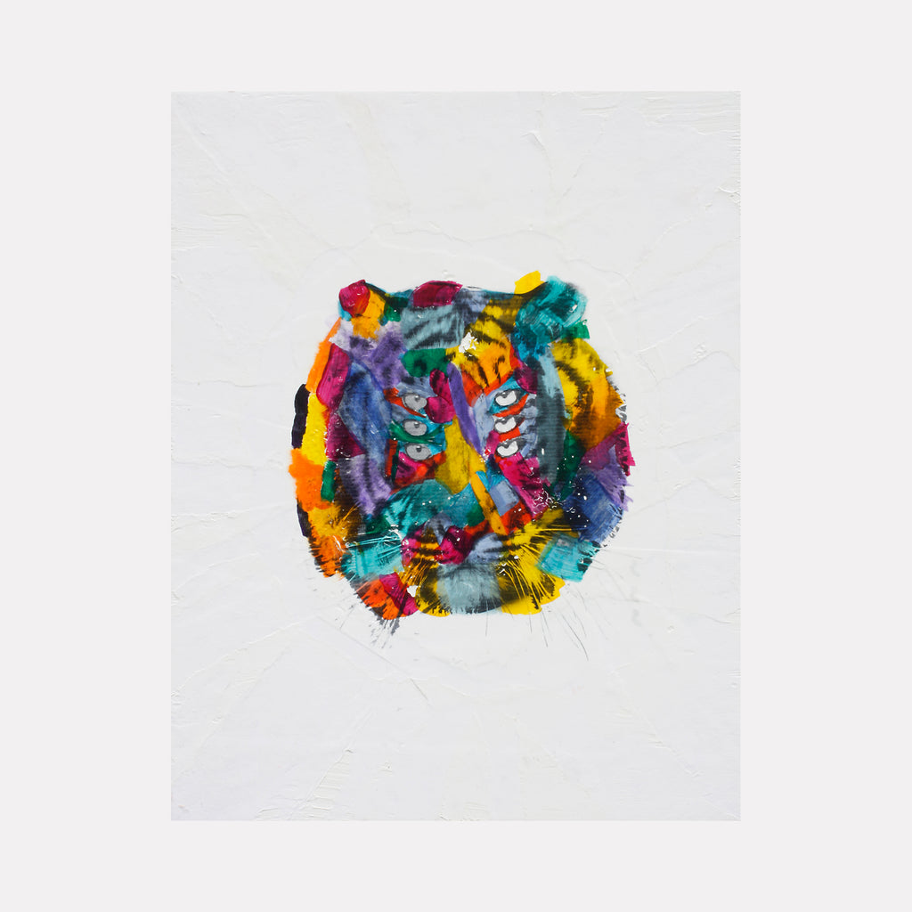 White Smoke 6 eyed rainbow tiger 3